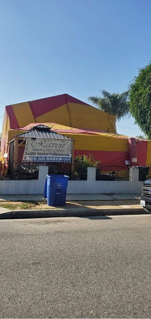 A single-family home sealed under a striped Raven fumigation tent